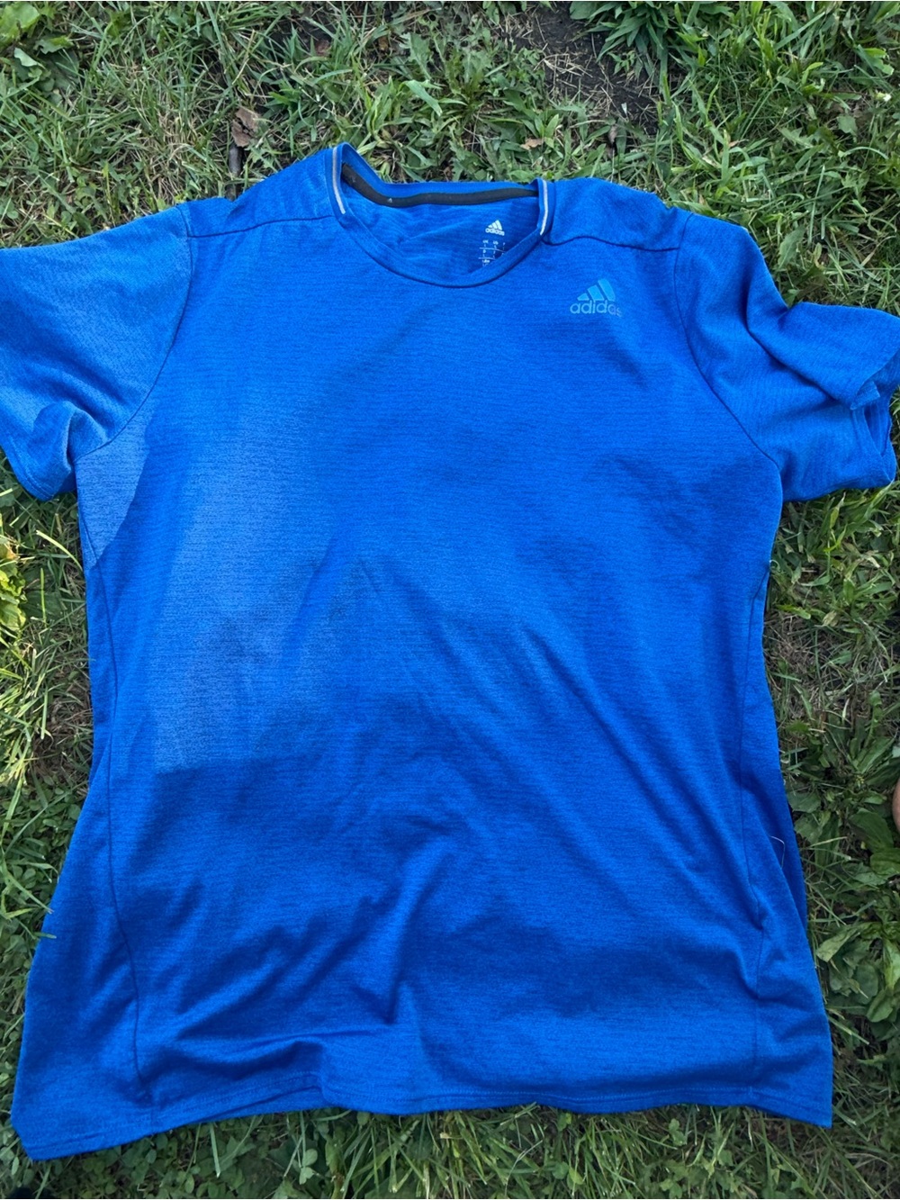adidas Royal Blue Kids Performance Tee
